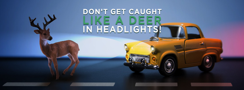 toy car shining headlights on toy deer