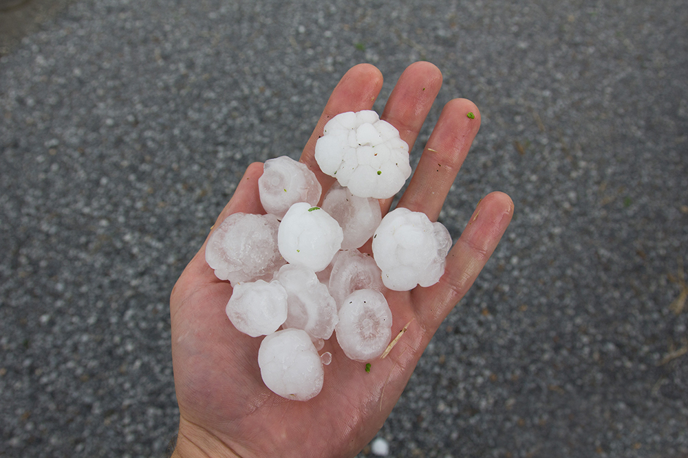 person holding golf ball sized hail in their palm