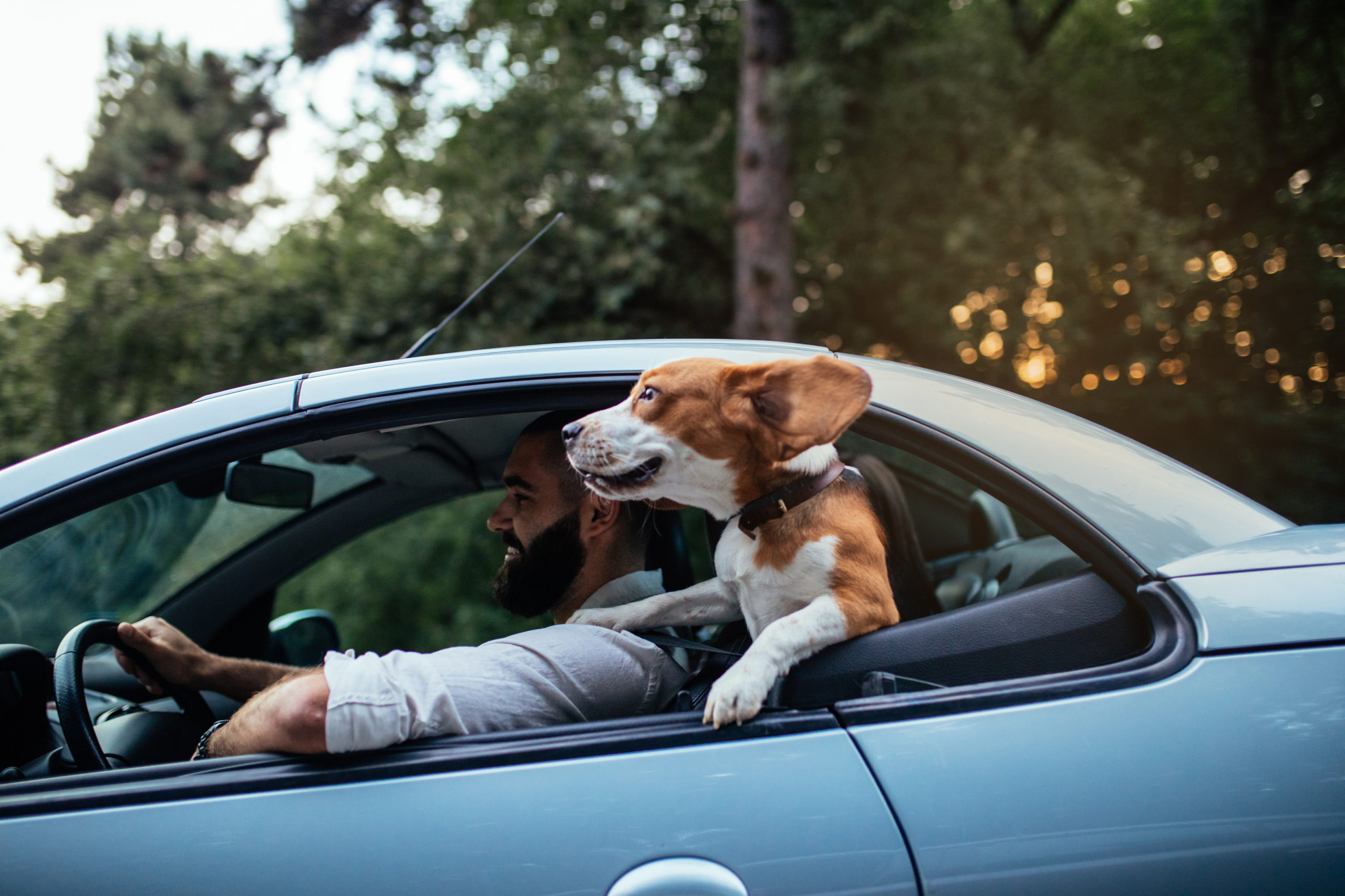 Shot of a young man riding with a dog in the car.